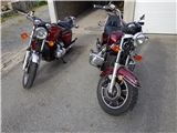 Honda GL 1200 Standard